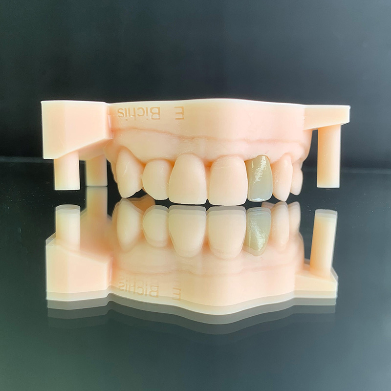 Cervident Dental labb