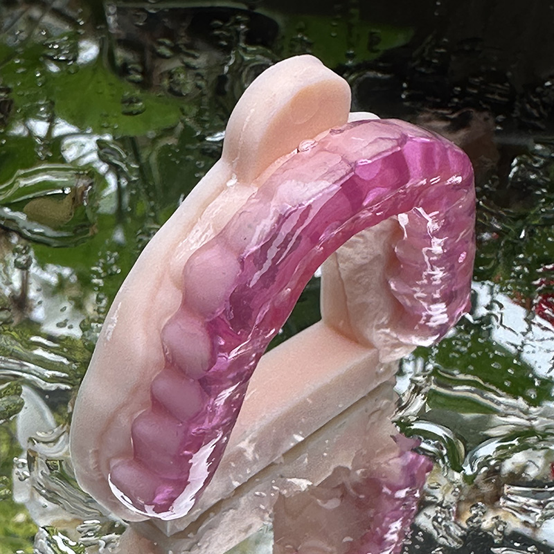 Cervident Dental labb